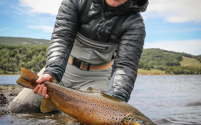 Unparralled trout fishing opportunities in Chilean Patagonia